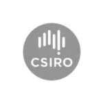 csibo
